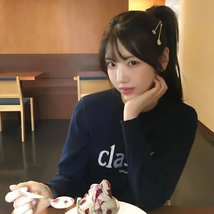 科搜研之女2022在线观看